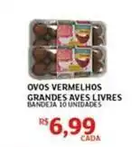 Assaí Atacadista Ovos vermelhos grandes aves livres oferta