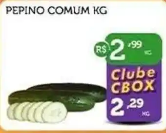 Pepino comum kg