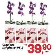Fort Atacadista Feliz - orquidea denphalen oferta