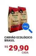 Assaí Atacadista Brasil color - carvão ecológico oferta