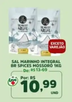 Araújo Supermercados Sal marinho integral br spices mossoró oferta