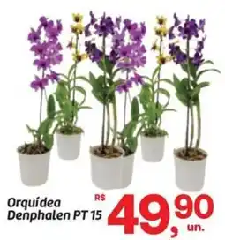 Fort Atacadista Orquídea Denphalen PT 15 oferta