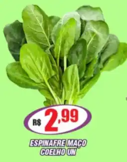 Violeta Supermercados espinafre maço coelho un oferta