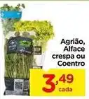 Carrefour Agrião, alface crespa ou coentro oferta