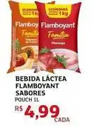 Assaí Atacadista Flamboyant - bebida láctea sabores oferta