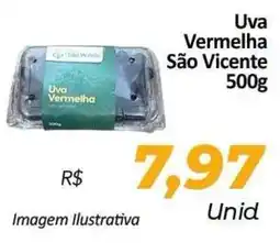 Hiper Moreira Uva Vermelha São Vicente oferta