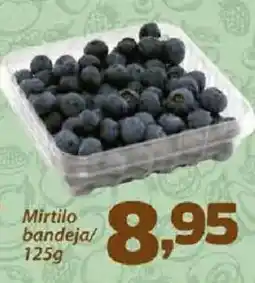 Confiança Supermercados Mirtilo bandeja oferta