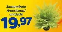 Confiança Supermercados Samambaia Americana/unidade oferta