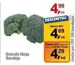 Tenda Atacado Ninja - brócolis ninja bandeja oferta