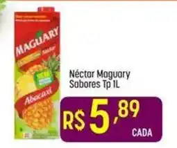 Muffato Néctar maguary sabores tp 1l oferta