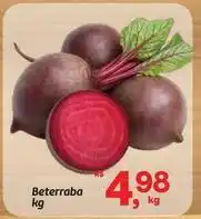 Fort Atacadista Rs - beterraba oferta