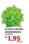 Assaí Atacadista Alface-crespa hidroponica oferta