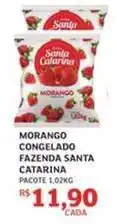 Assaí Atacadista Catarinão - morango congelado fazenda oferta
