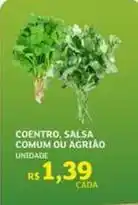 Assaí Atacadista Coentro, salsa comum ou agriao oferta