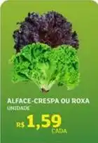 Assaí Atacadista Alface-crespa ou roxa oferta