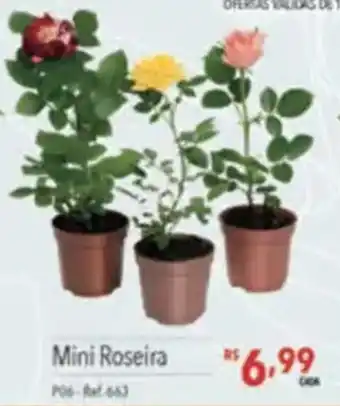 Supermercados Condor Mini Roseira oferta