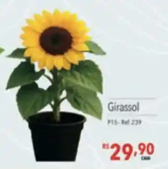 Supermercados Condor Girassol oferta
