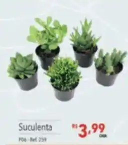 Supermercados Condor Suculenta oferta