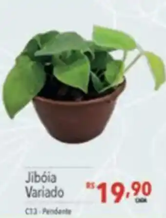Supermercados Condor Jibóia variado oferta