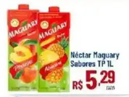 Max Atacadista Néctar maguary sabores tp 1l oferta