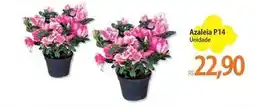 Atacadão Azaleia p14 oferta