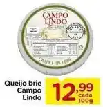 Carrefour Campo lindo - queijo brie oferta