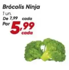 Dia Ninja - brócolis ninja oferta