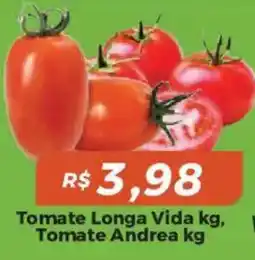 Mart Minas Tomate longa vida kg, tomate andrea kg oferta