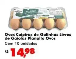 Big Box Ovos Caipiras de Galinhas Livres de Gaiolas Planalto Ovos oferta