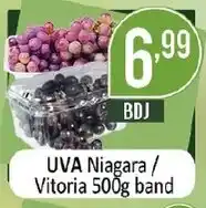 Dovale uva niagara / vitoria oferta