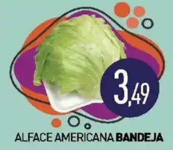Calvo Atacadista alface americana bandeja oferta