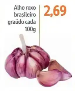 Sonda Alho roxo brasileiro graúdo oferta