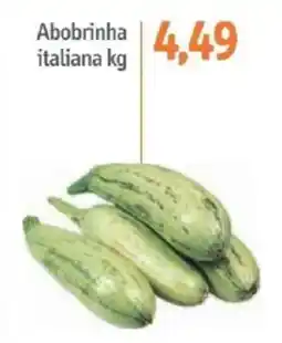 Sonda Abobrinha italiana kg oferta