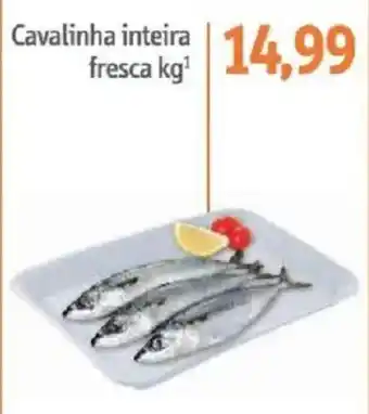 Sonda Cavalinha inteira fresca oferta