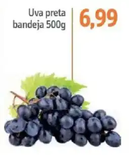 Sonda Uva preta bandeja oferta