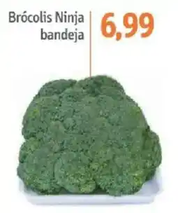 Sonda Brócolis Ninja bandeja oferta