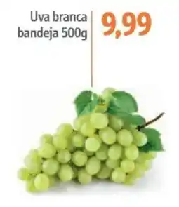 Sonda Uva branca bandeja oferta
