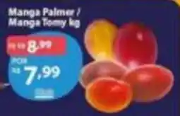 GoodBom Manga palmer / manga tomy kg oferta