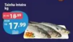 GoodBom Tainha inteira oferta