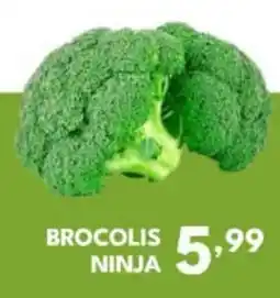Rede Plus Supermercados brocolis ninja oferta