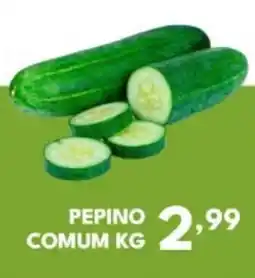 Rede Plus Supermercados Pepino comum oferta