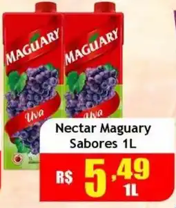 Supermercado Kibe Nectar maguary sabores oferta