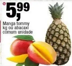 Frangolândia Manga tommy oferta
