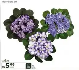 Master Supermercados Flor Violeta p11 oferta