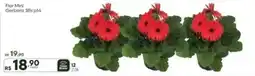 Master Supermercados Flor Mini Gerbera 3fls p14 oferta