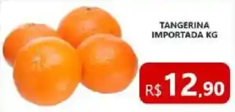 Tangerina importada kg