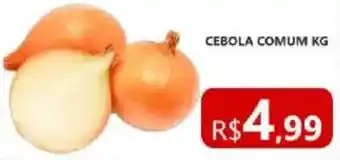 Cebola comum kg