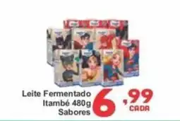 Rede Super Compras Leite Fermentado Itambé 480g Sabores oferta