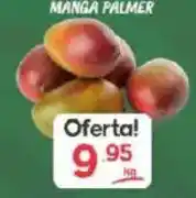 Supermercados Princesa Manga palmer oferta