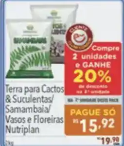 Supermercados Condor Terra para Cactos & Suculentas/ Samambaia/ Vasos e Floreiras Nutriplan oferta